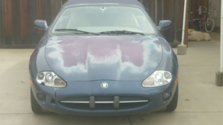 Illustration for article titled Is This Neglected Jaguar XK8 Convertible A Cheap Diamond In The Rough?